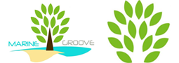 Students of SZABIST Move and Groove to Plant Mangroves
